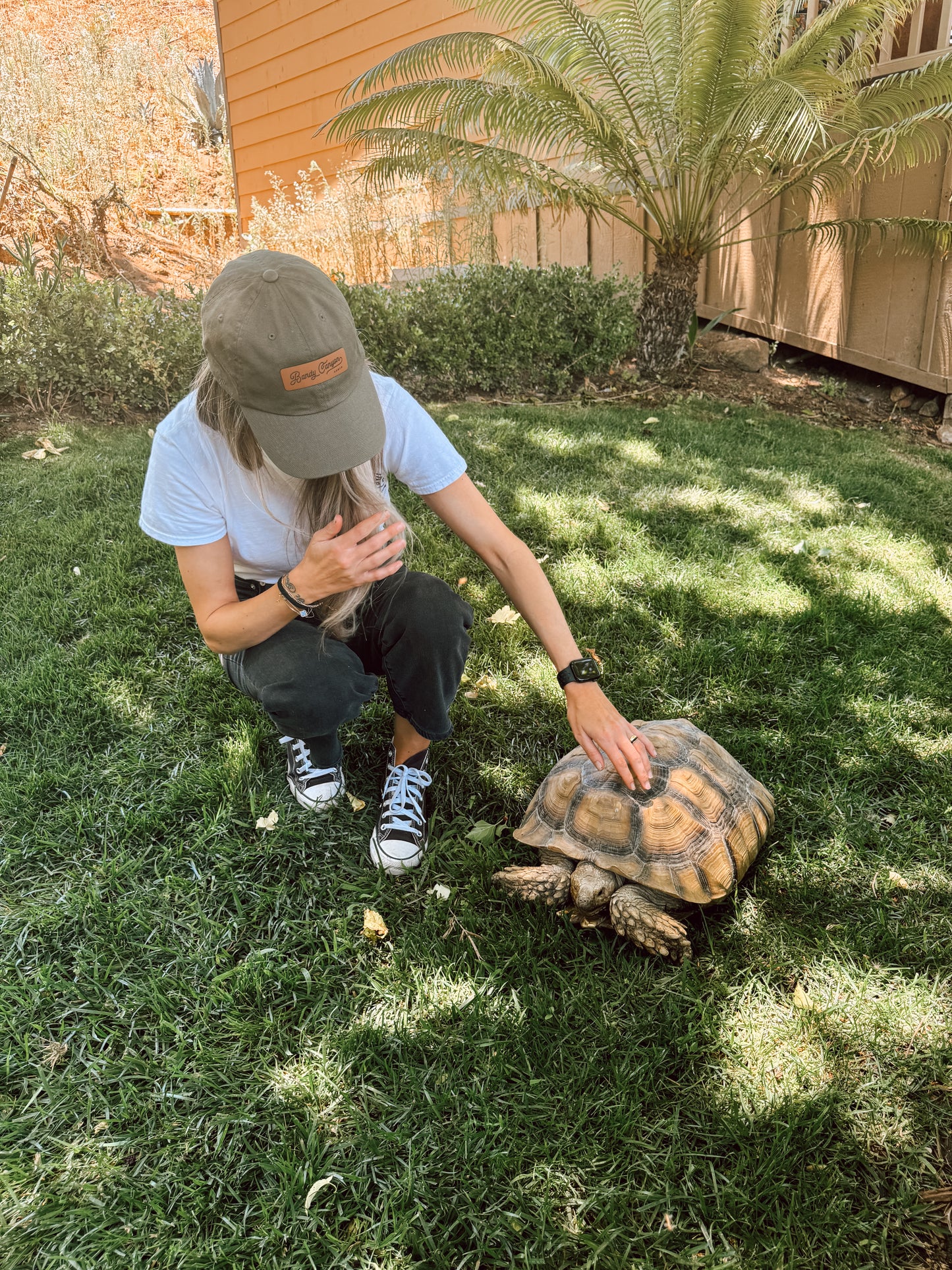 Canyon Farm Animal Sanctuary - Animal Sponsorship, Sheldon