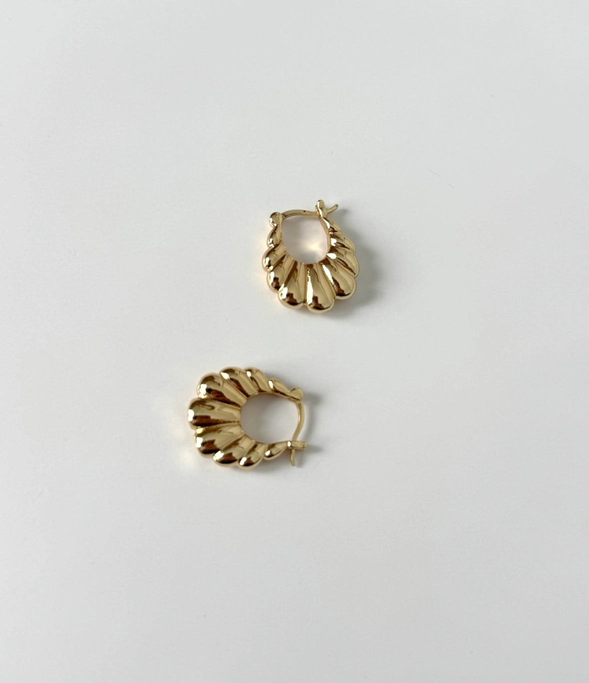 Little Scallop Hoops