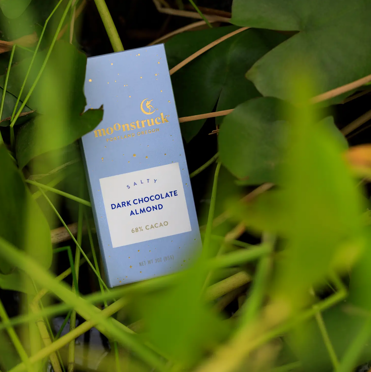 Salty Dark Sea Salt Almond Bar by Moonstruck Chocolate Co