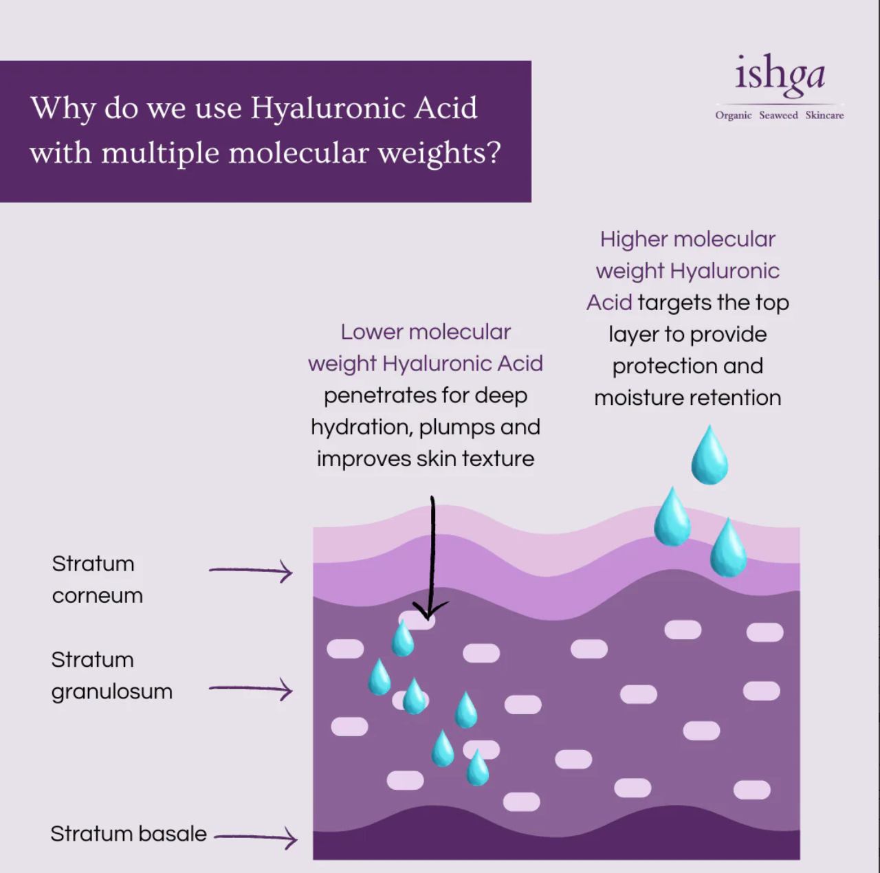 ishga Hydra+ Marine Cream