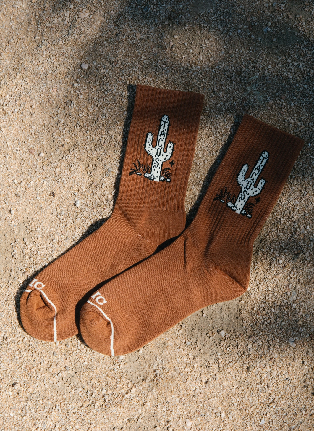 Cactus Taco Socks