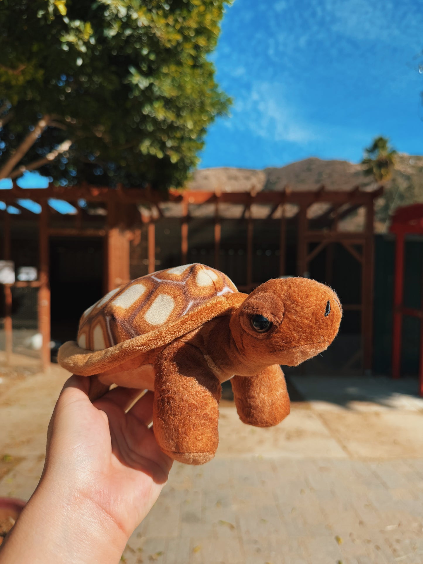 Canyon Farm Animal Sanctuary - Animal Sponsorship, Sheldon