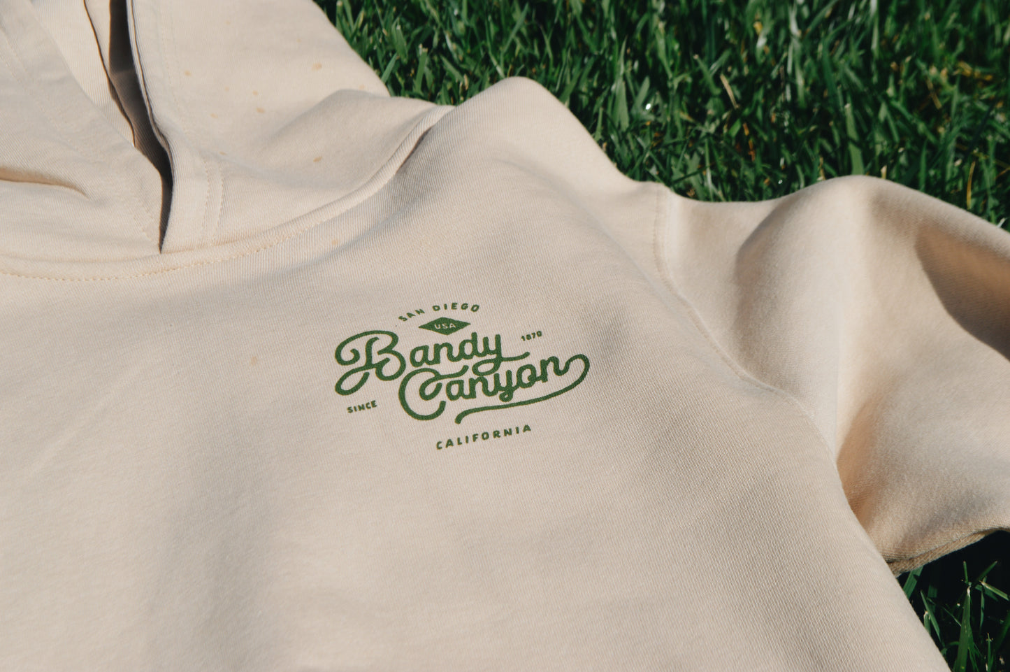 Bandy Canyon Ranch Hoodie (Bone)