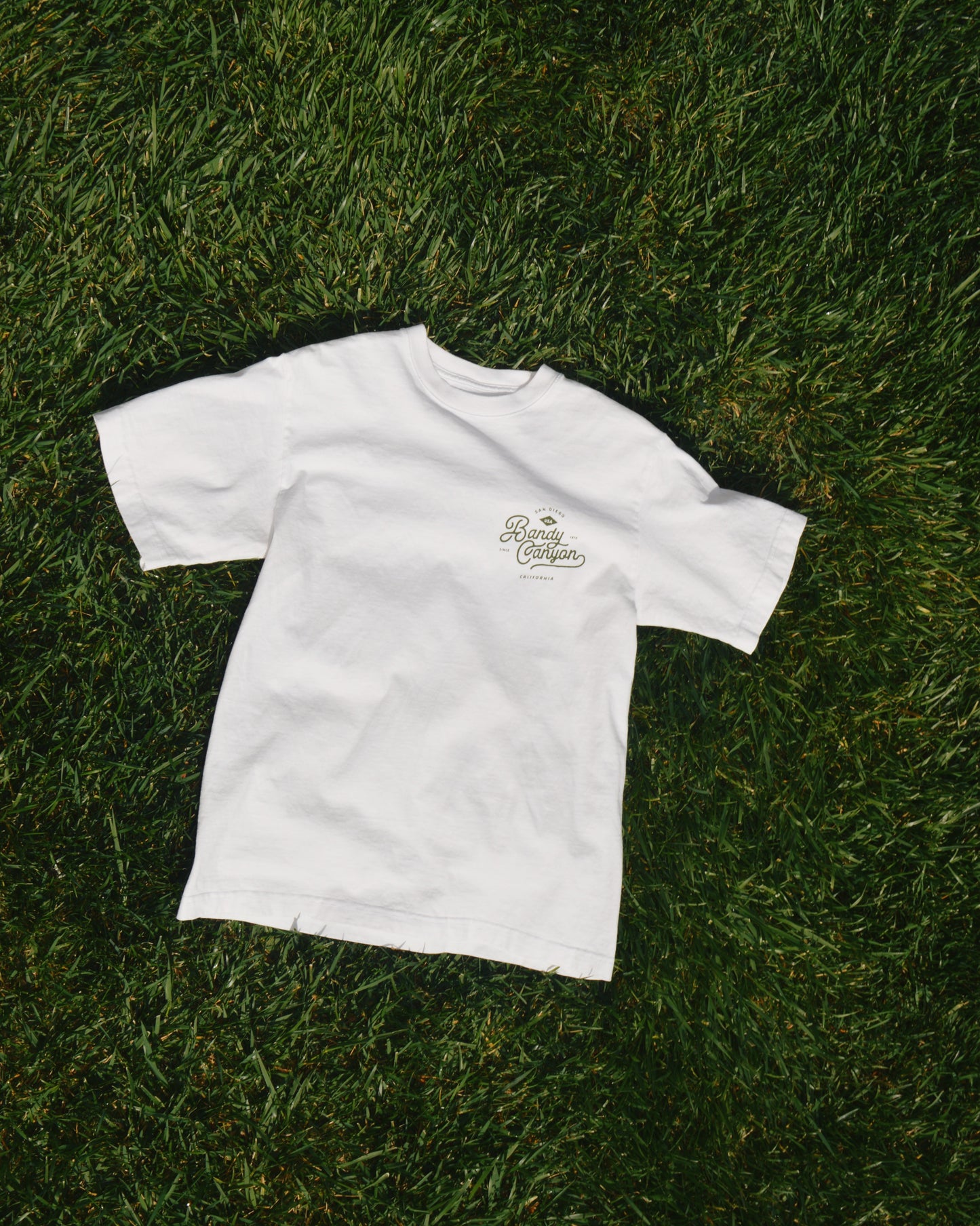 Bandy CanyonT-Shirt (Bone)