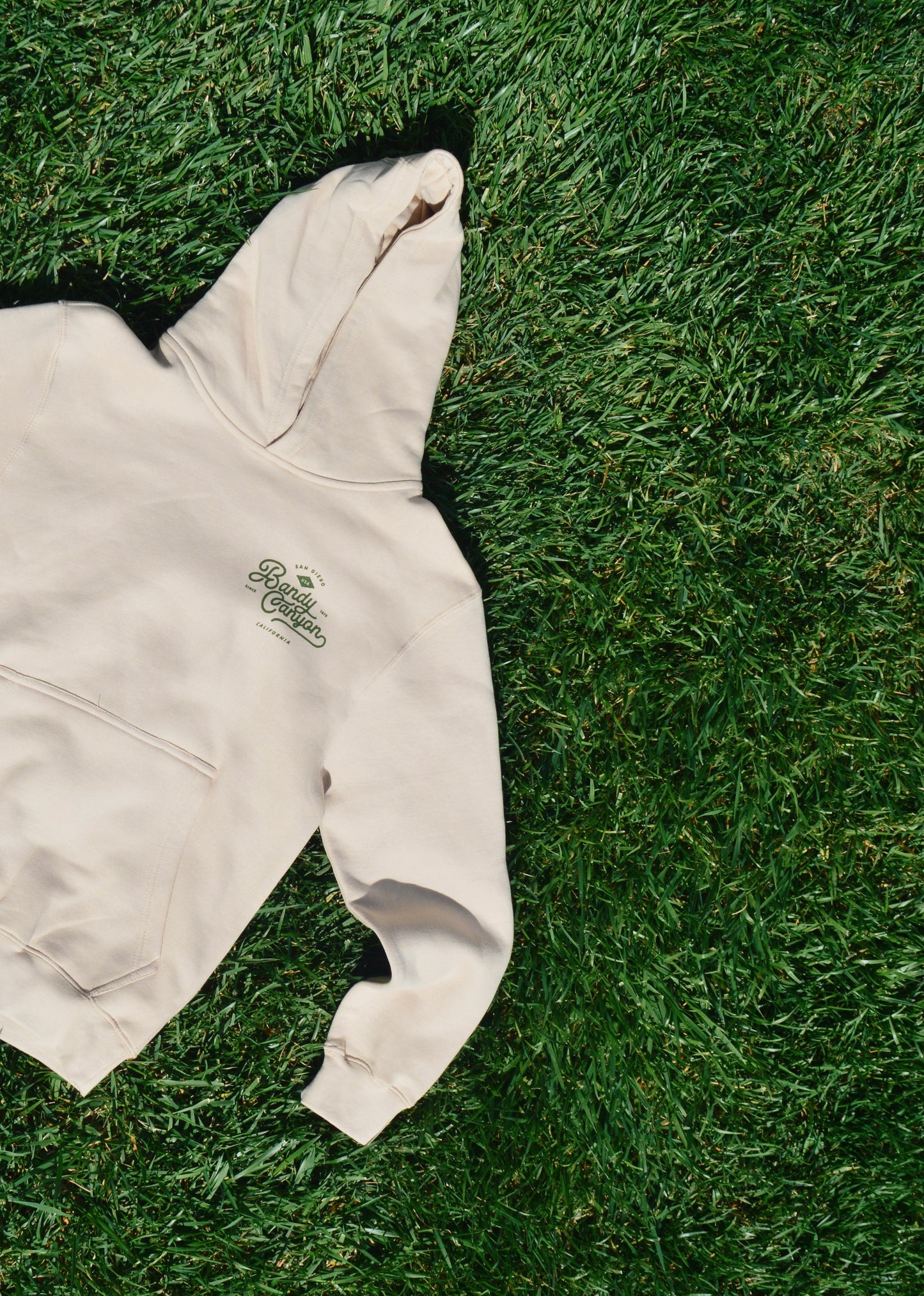 Bandy Canyon Ranch Hoodie (Bone)