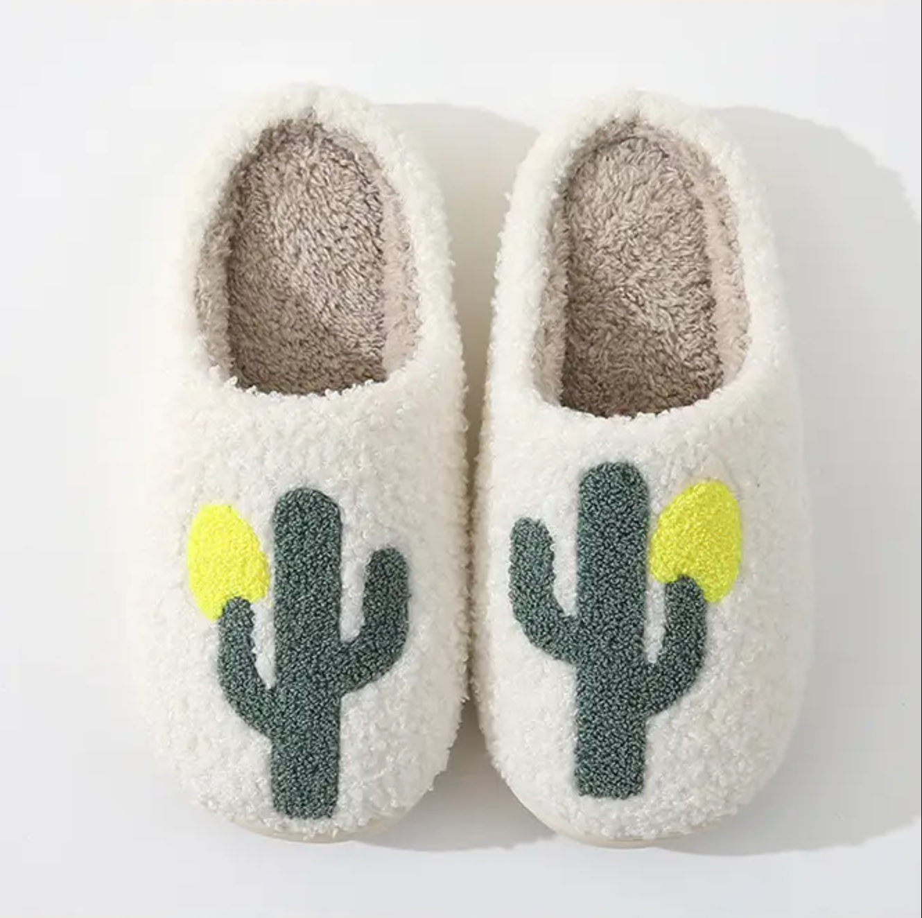 Cactus Slippers