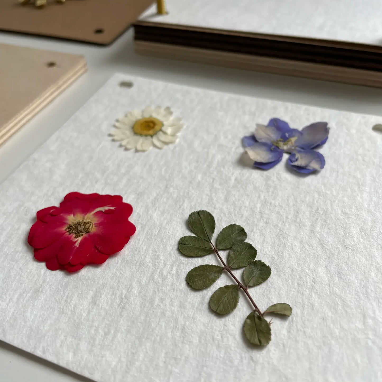 Flower Press Kit by Sunnie Lane